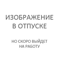 ПЗУ 300 «»Микроша